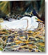 Nesting Egret Metal Print