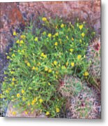 Nevada Yellow Wildflower Metal Print
