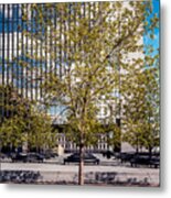 Trees On Fed Plaza Metal Print