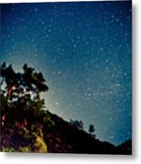 Night Sky Scene With Pine And Stars Metal Print