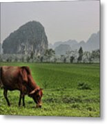 Ninh Binh Reserve Metal Print