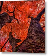 Nishinomiya Japanese Garden - Autumn Trees 2 Metal Print