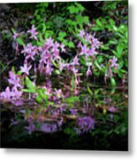 Norris Lake Floral 2 Metal Print