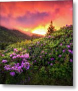 North Carolina Mountains Outdoors Landscape Appalachian Trail Spring Flowers Sunset Metal Print