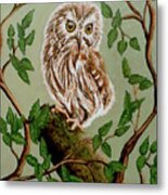 Northern Saw-whet Owl Metal Print