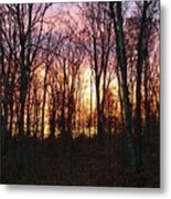 November's End Metal Print