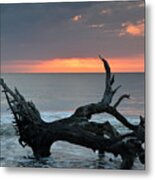 Ocean Treescape At Sunrise Metal Print