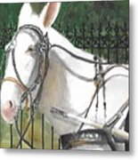 Ol' White Mule Metal Print