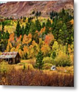 Old Cabin In Hope Valley Metal Print