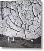 Old Daub Metal Print