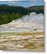 Old Faithful - An American Icon In Yellowstone National Park Wy Metal Print