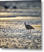 On The Move At Dawn Metal Print