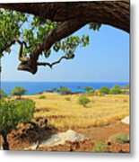 On The Way To Lapakahi Metal Print