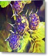 One. Berry -two Berry Metal Print