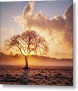 One Is A Lonely Number Metal Print