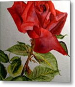 One Single Red Rose Metal Print