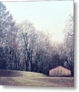 One Winter Day Metal Print
