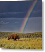 Only In Yellowstone Metal Print