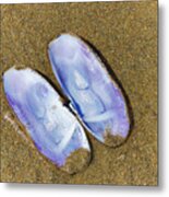 Open Clam Shell Metal Print