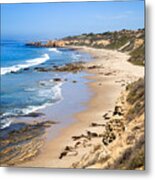 Orange County California Metal Print