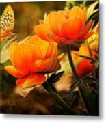 Orange Flowers And Butterfly Metal Print