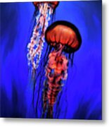 Orange Jellyfish Metal Print