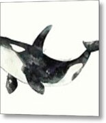 Orca from Arctic and Antarctic Chart Metal Print