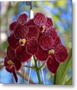 Orchid Bouquet Metal Print