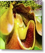 Orchid Faces Metal Print