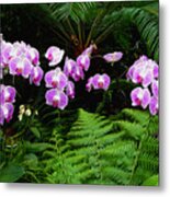Orchids With Fern-panoramic Metal Print