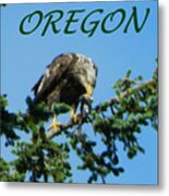 Oregon Eagle With Bird Metal Print