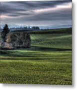 Oregon Field Metal Print