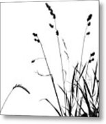 Organic Enhancements 10 Metal Print