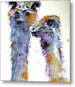 Ostriches Metal Print