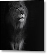 Out Of Darkness Metal Print
