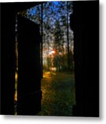 Out Of The Darkness Metal Print