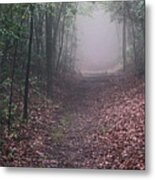 Out Of The Fog Metal Print