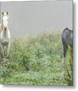 Out Of The Mist, 2 Metal Print