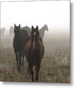 Out Of The Mist Metal Print