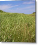 Outer Cape Dreaming Metal Print