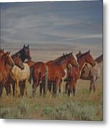 Over The Fenceline Metal Print