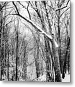 Over The Meadow And Through The Woods Metal Print