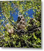 Owl Be With You In A Moment Metal Print