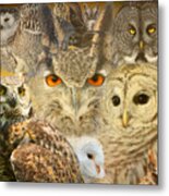 Owl You Need Is Love Metal Print