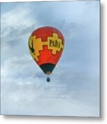 Pada Flying Hi Metal Print