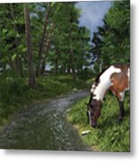 Paint Horse By The Forest Stream Metal Print