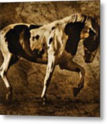 Paint Horse Metal Print