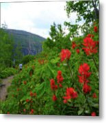 Paintbrush On Iceburg Tr. Metal Print