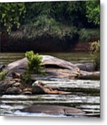 Painted Congaree Currents Metal Print