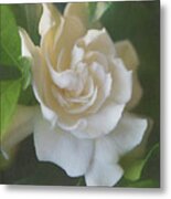 Painted Gardenia Blossom Metal Print